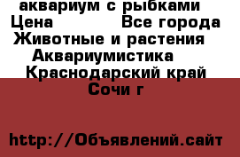 аквариум с рыбками › Цена ­ 1 000 - Все города Животные и растения » Аквариумистика   . Краснодарский край,Сочи г.